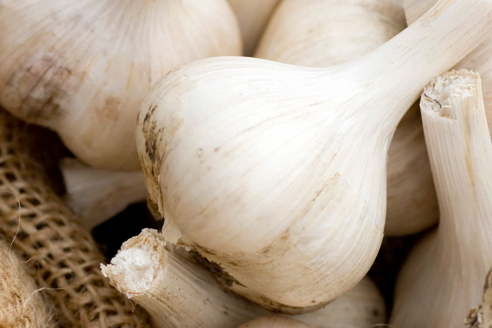にんにく